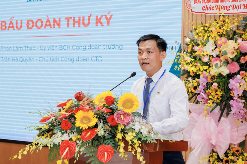 cá cược thể thao hul city